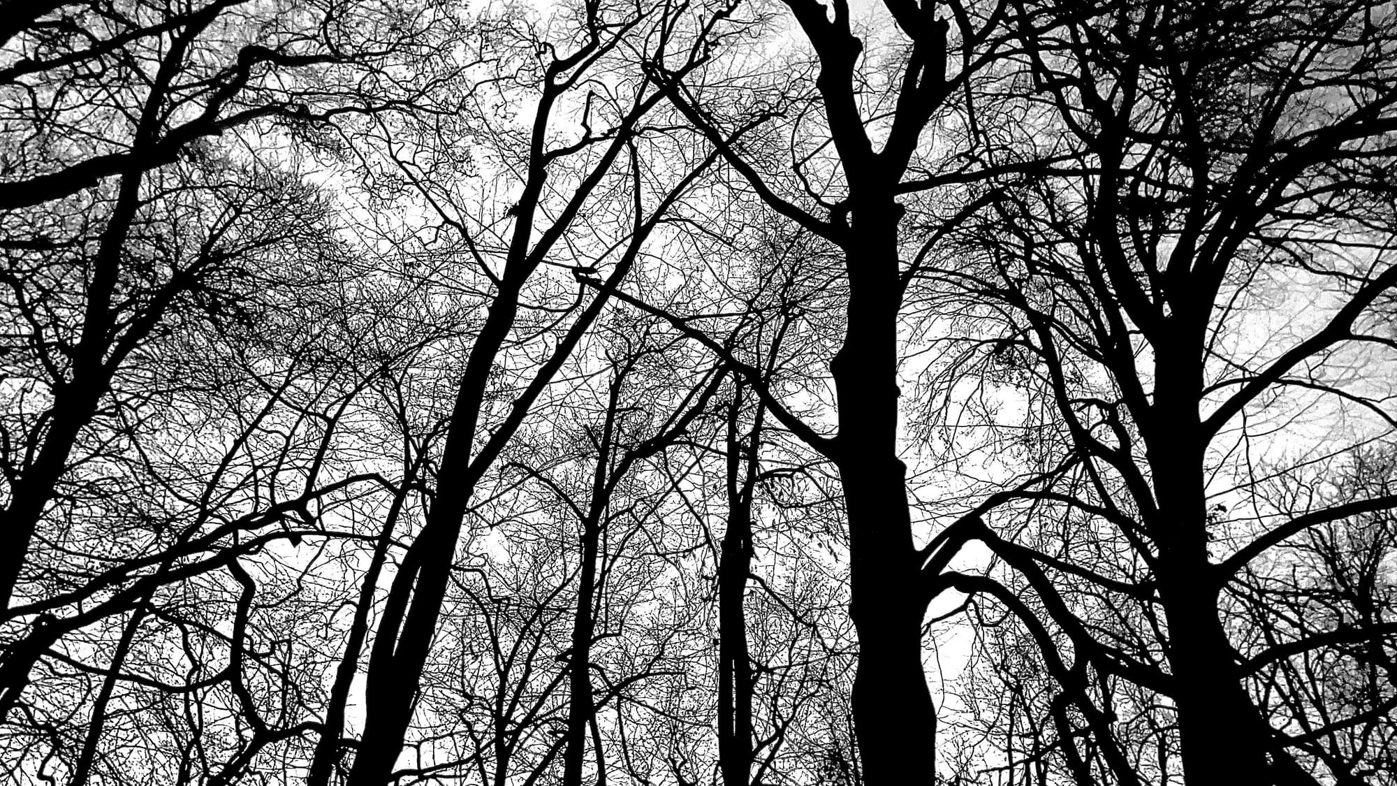 Ville de Saint-Étienne