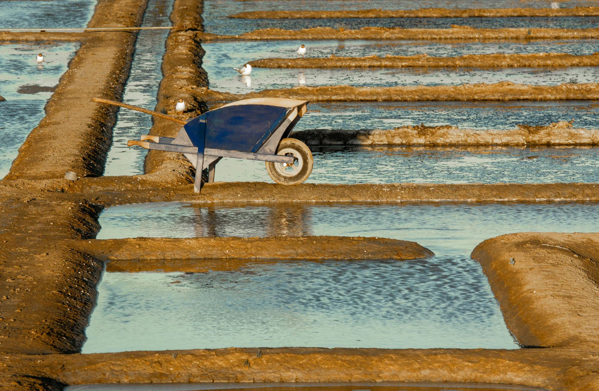 Vue de Saint-Nazaire