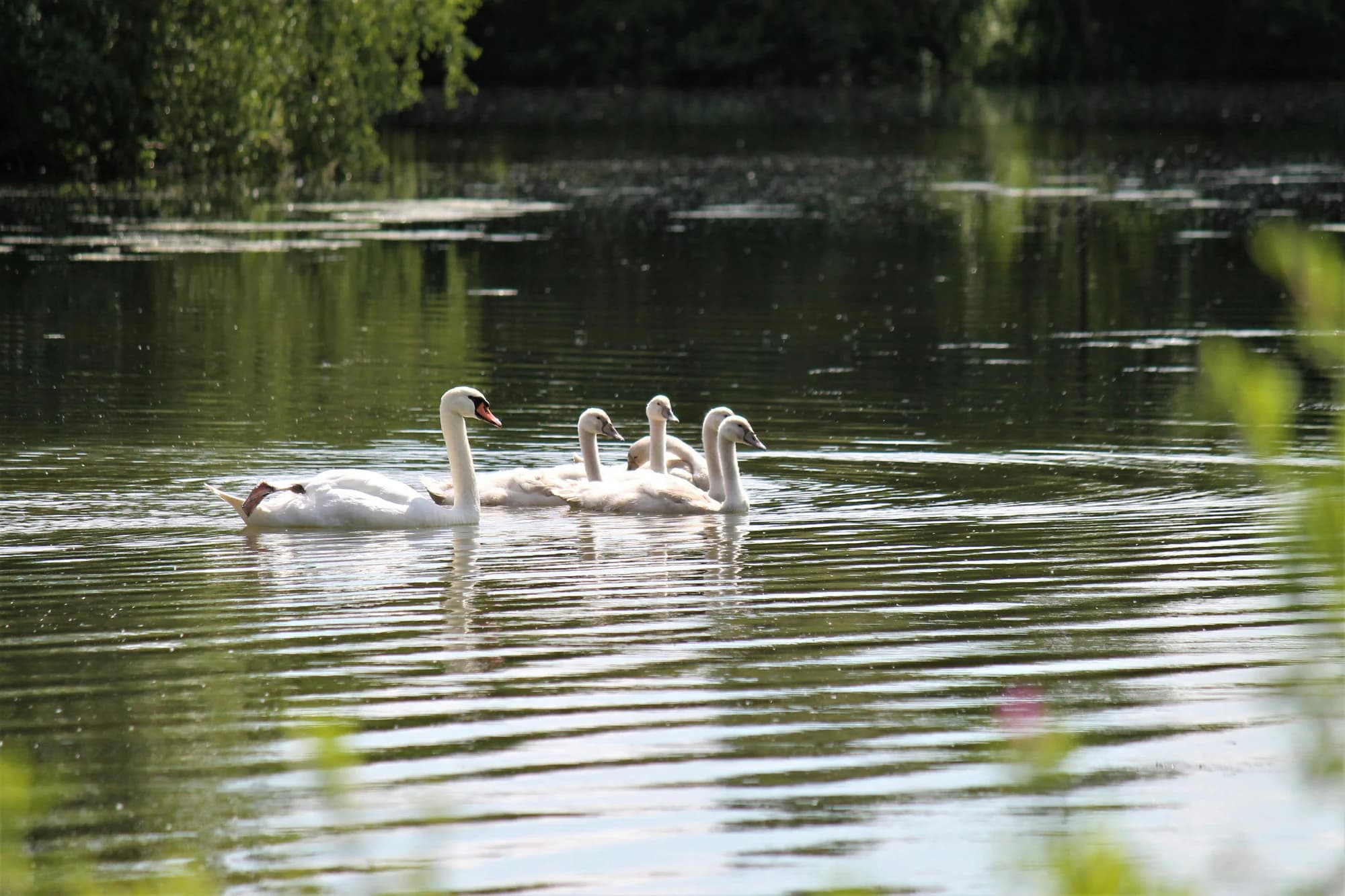 Vue de Villeneuve-d'Ascq